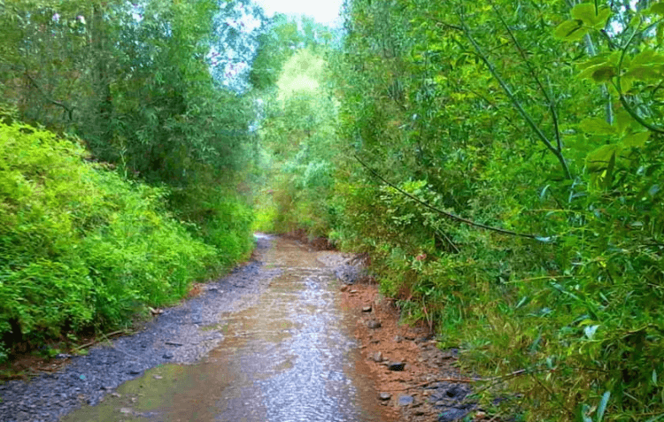 روستای حصار